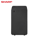 SHARP 夏普6L 乾淨方mini衣物乾燥美型除濕機DW-P6HT