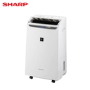 SHARP 夏普12L ⾃動除菌離⼦3合1智慧空氣清淨變頻除濕機DW-WA12FT